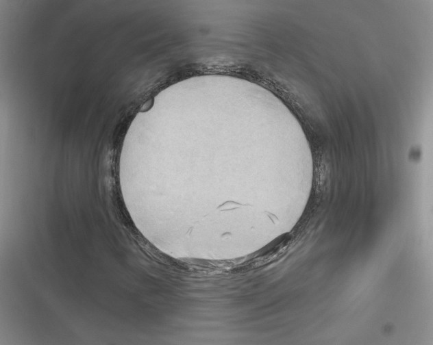 X0000116301346201001111109