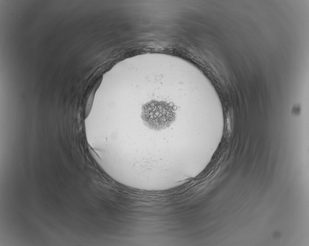 X0000116301347201001111109