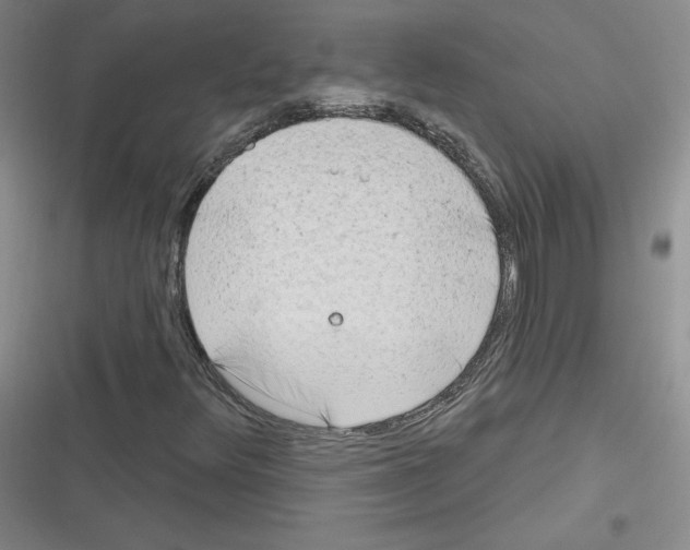 X0000116301348201001111109