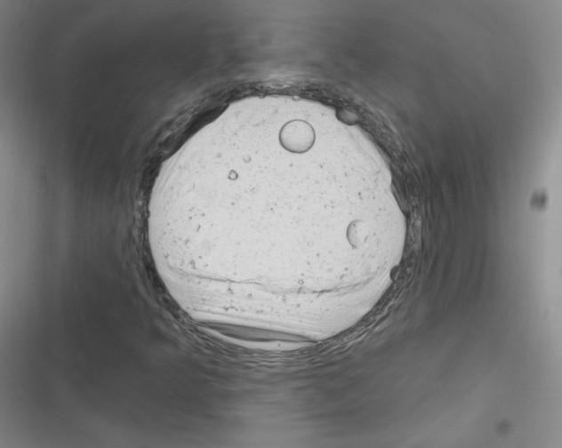 X0000116301349201001111109