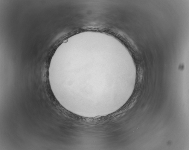 X0000116301350201001111109