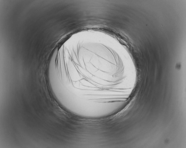 X0000116301353201001111109