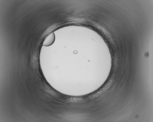 X0000116301354201001111109