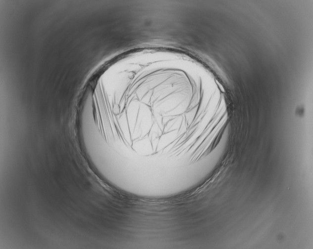 X0000116301356201001111109