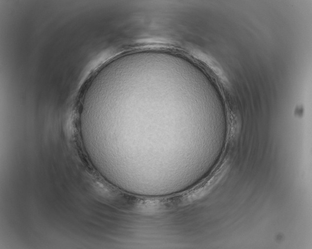 X0000116301357201001111109