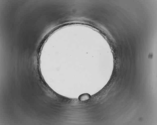 X0000116301360201001111109