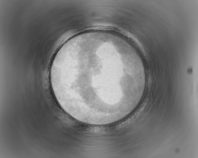 X0000116301362201001111108