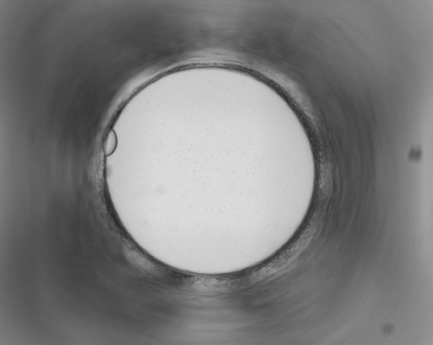 X0000116301366201001111108