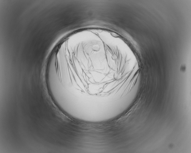 X0000116301368201001111108