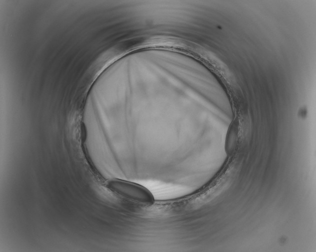 X0000116301369201001111108