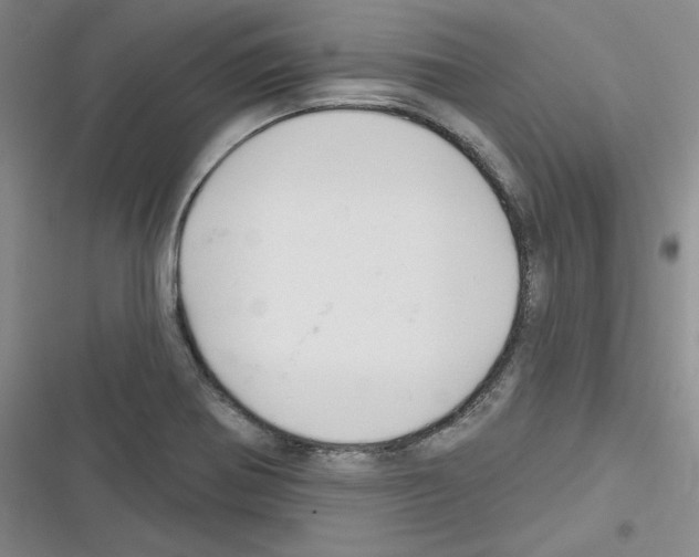 X0000116301370201001111108