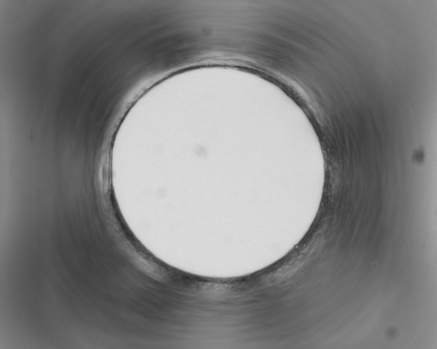 X0000116301371201001111108