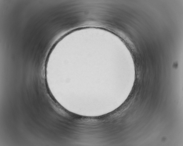 X0000116301372201001111108