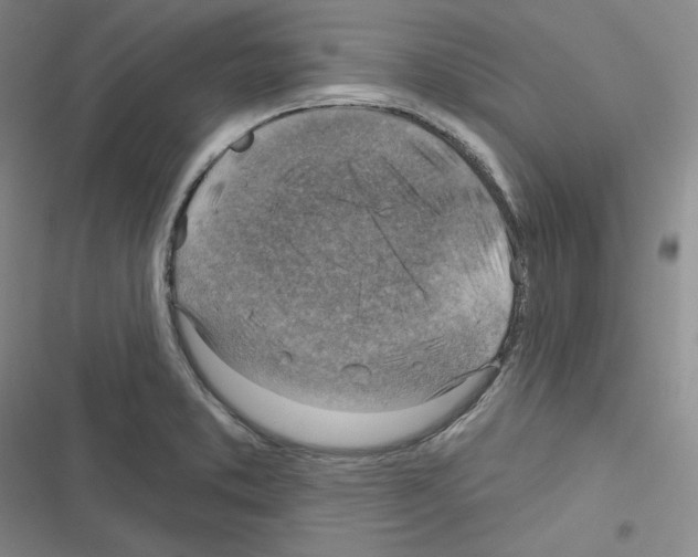 X0000116301373201001111108