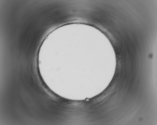 X0000116301375201001111108