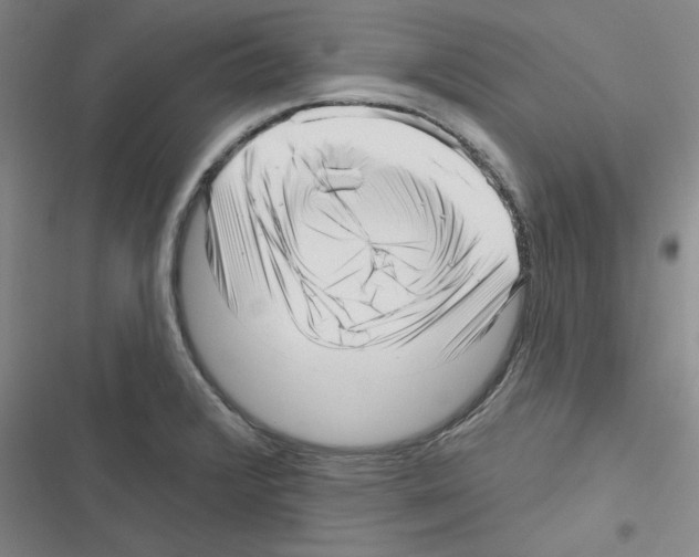 X0000116301376201001111108