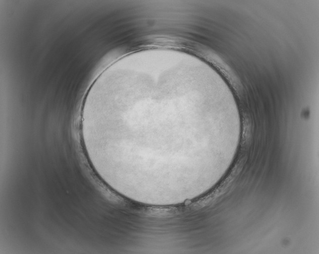 X0000116301378201001111108