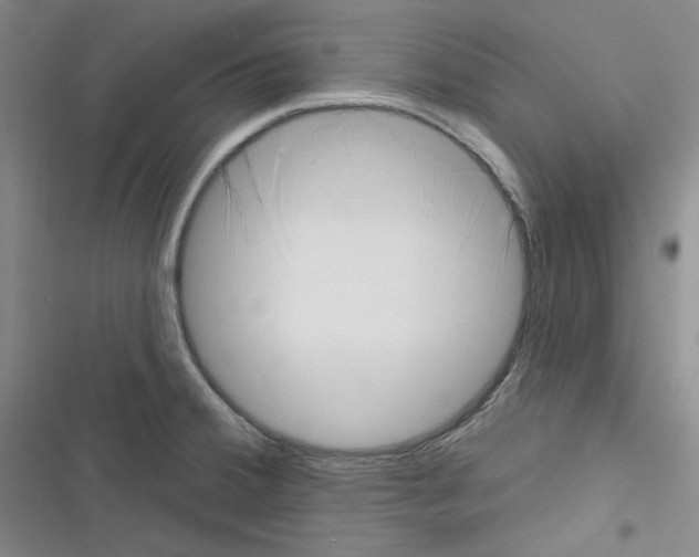 X0000116301380201001111108