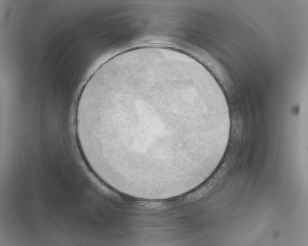 X0000116301382201001111108