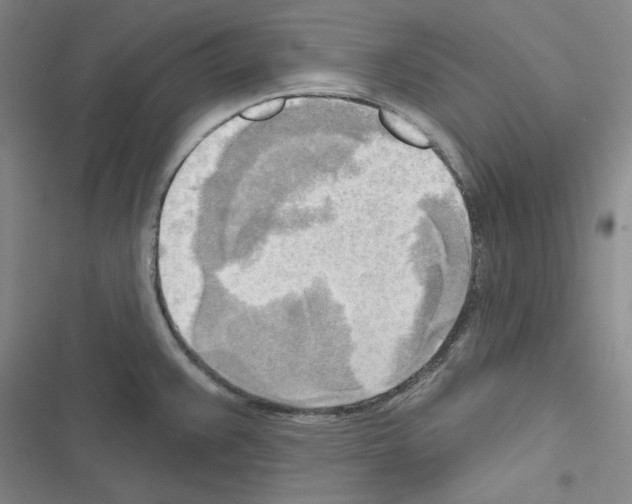 X0000116301383201001111108