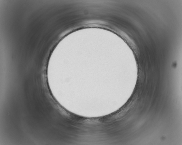 X0000116301384201001111108