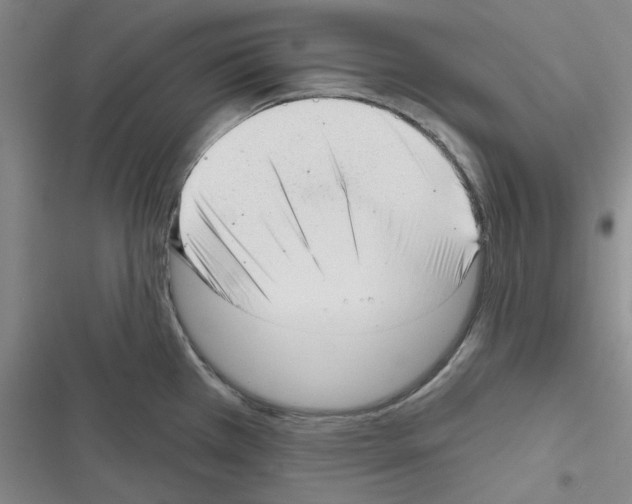 X0000116301385201001111108