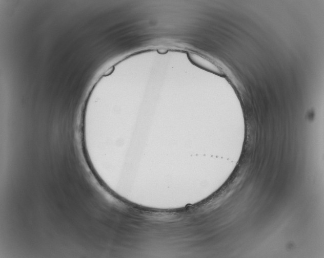 X0000116301387201001111108