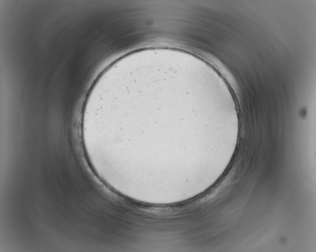 X0000116301388201001111108