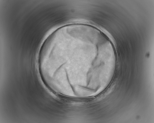 X0000116301389201001111108