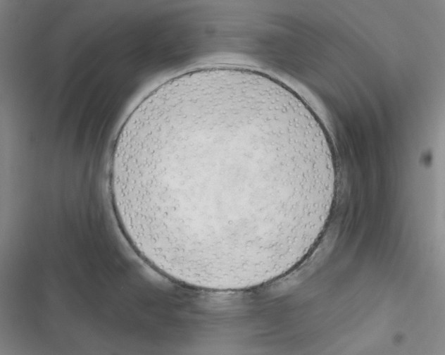 X0000116301390201001111108