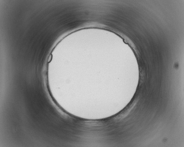 X0000116301391201001111108