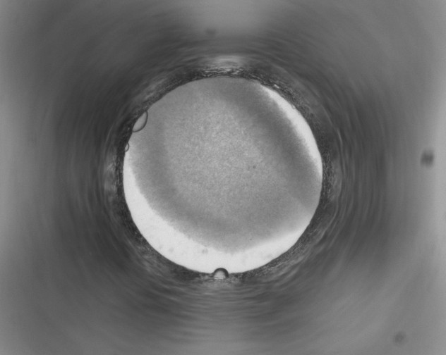 X0000116301394201001111107