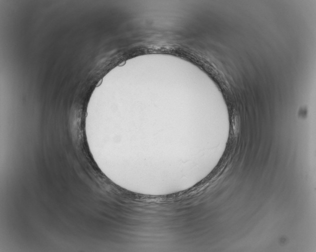 X0000116301396201001111107