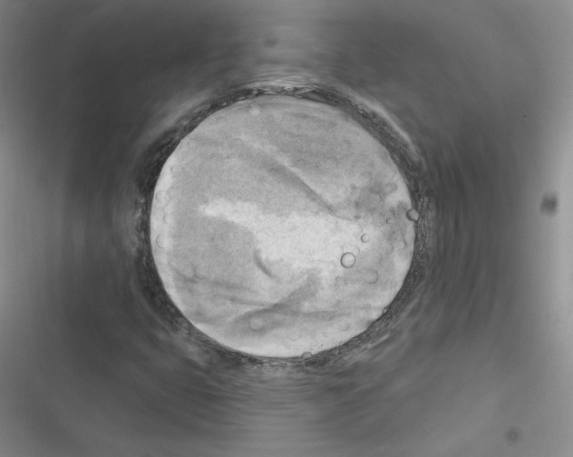 X0000116301399201001111108