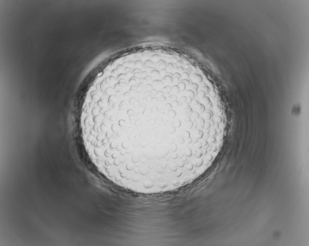 X0000116301400201001111108