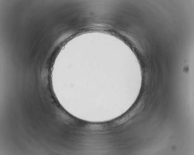 X0000116301402201001111108