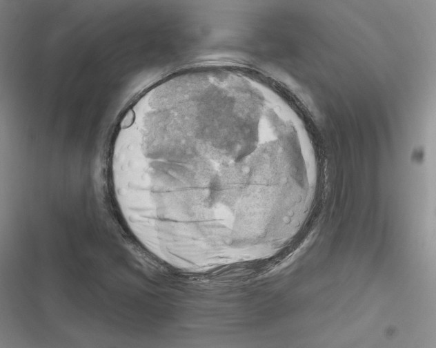 X0000116301405201001111108