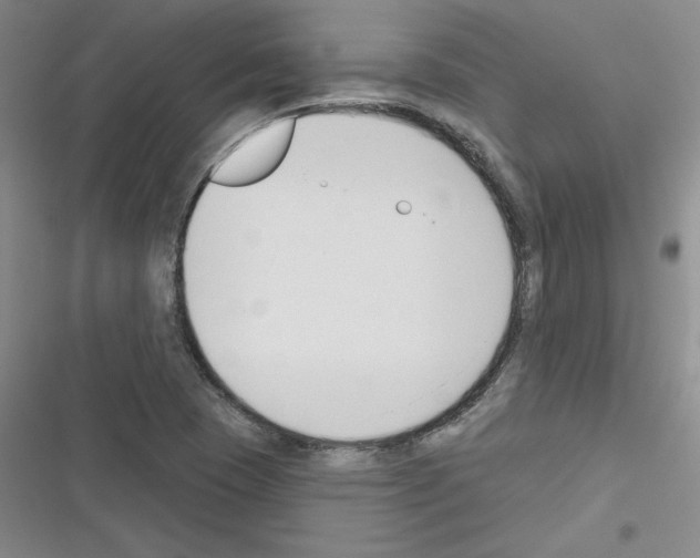 X0000116301409201001111108