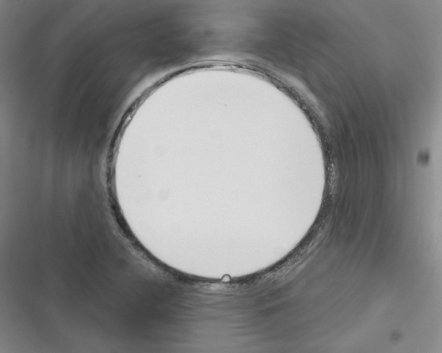 X0000116301412201001111108