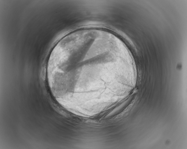 X0000116301413201001111108