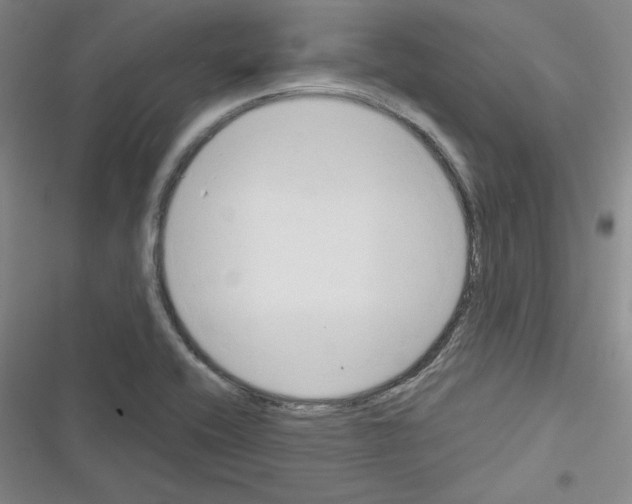 X0000116301416201001111108