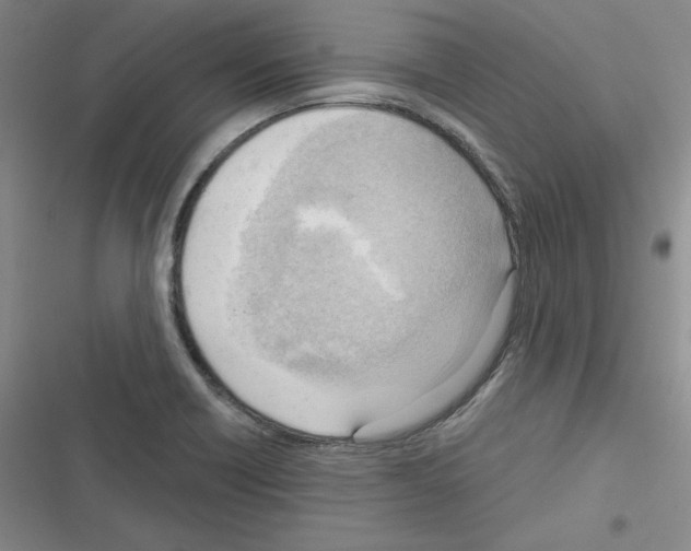 X0000116301418201001111108