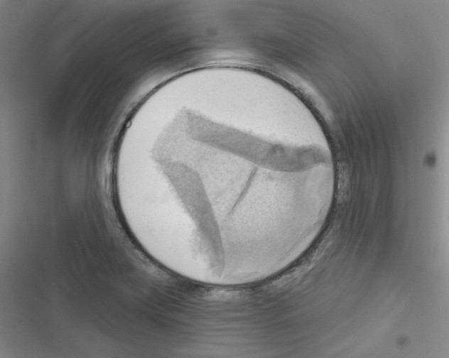 X0000116301419201001111108