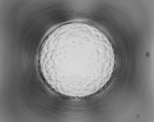 X0000116301420201001111108