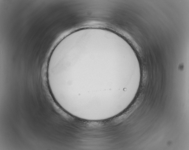 X0000116301421201001111108