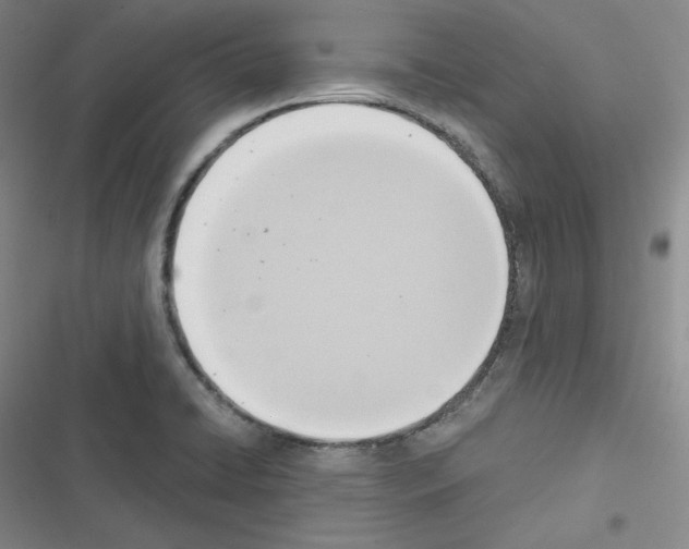 X0000116301422201001111108