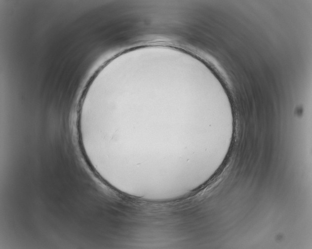 X0000116301424201001111108