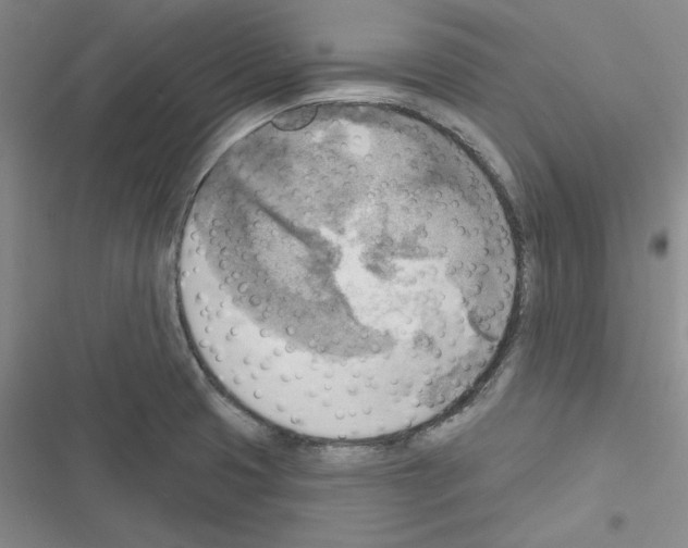 X0000116301425201001111108