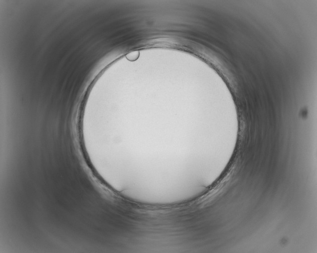 X0000116301426201001111108