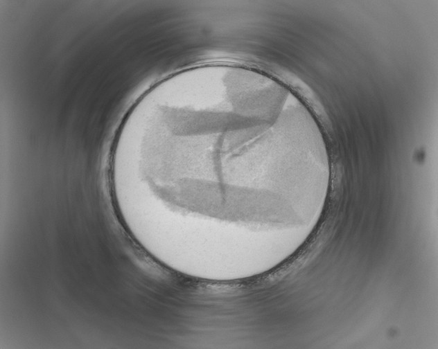 X0000116301427201001111108